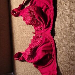 42 D Delta Burke minimizer underwire bra